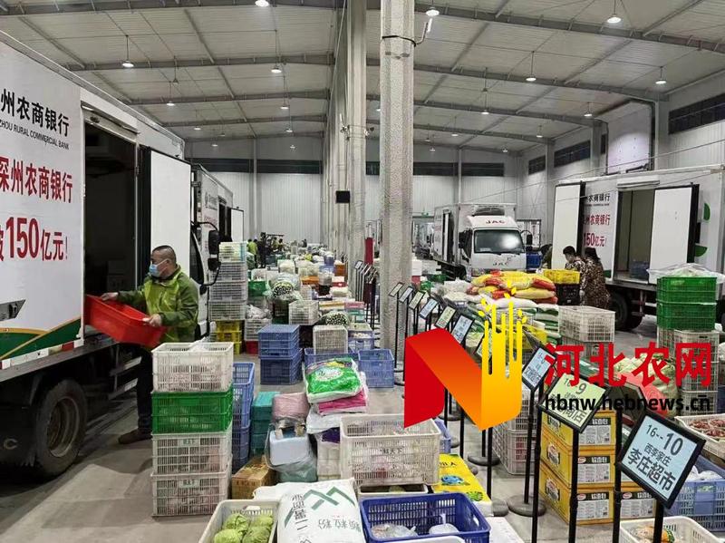 深州市农业产业项目带动经济发展加速度 日用百货销售新契机